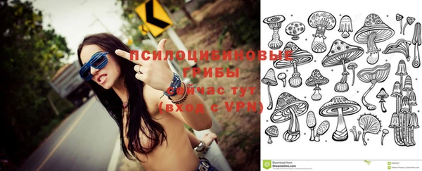 кокс Аркадак